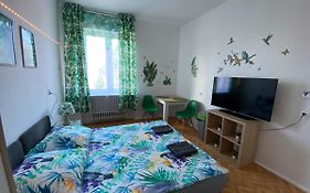Jungle Rooms