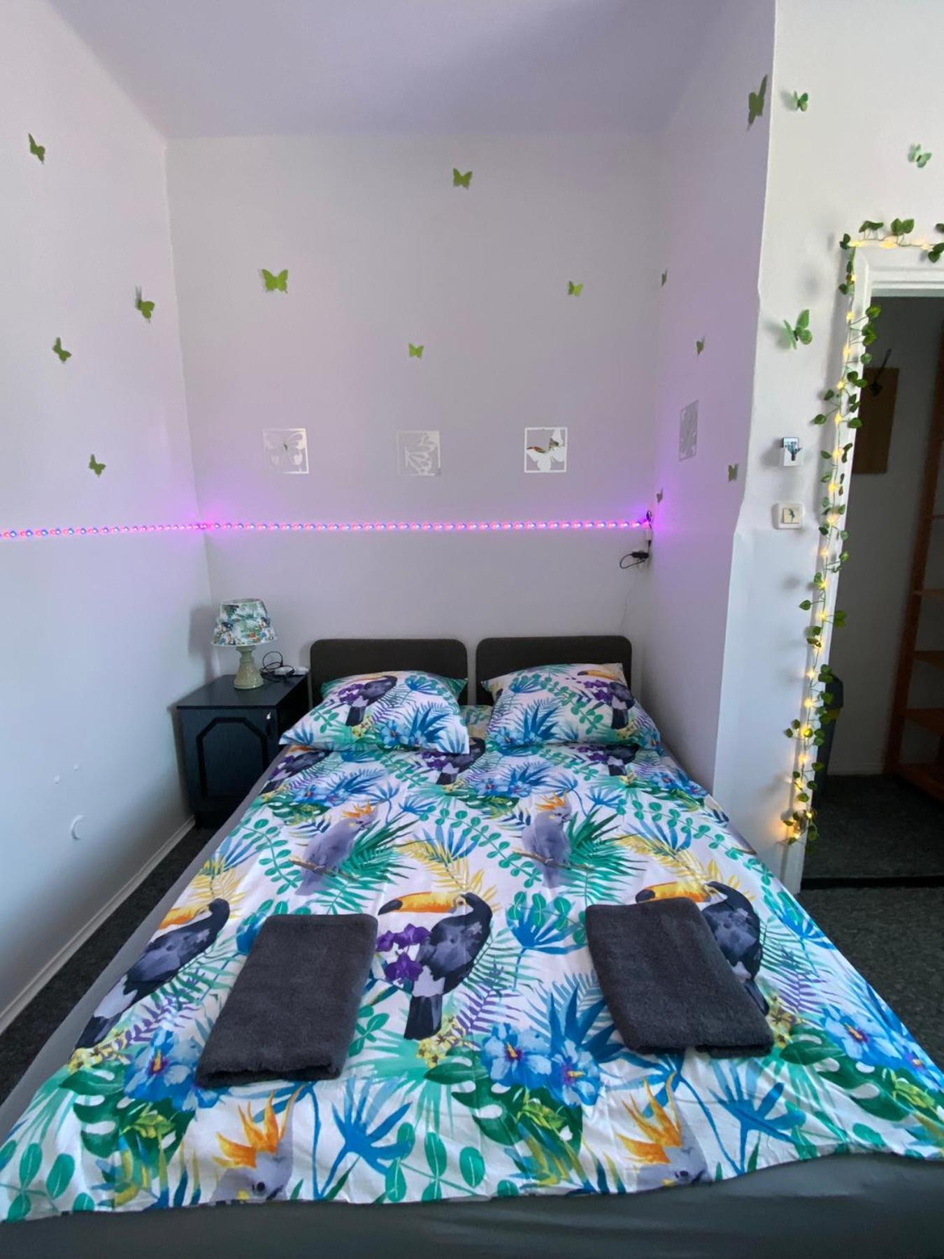 Jungle Rooms Гданьск Номер фото